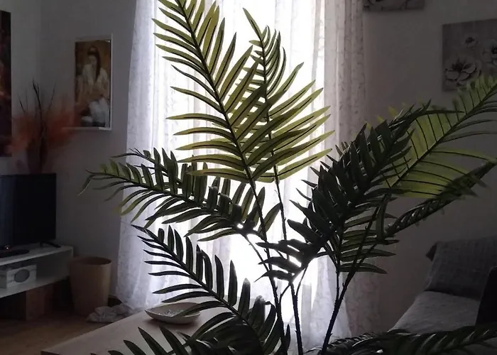 Aggeliki Casa vacanze *